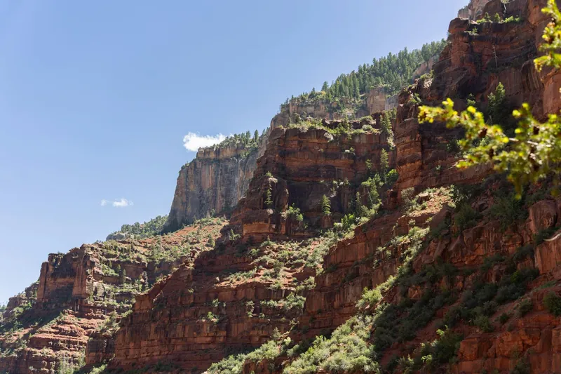 NEMT services in Arizona