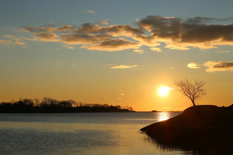 NEMT services in Connecticut