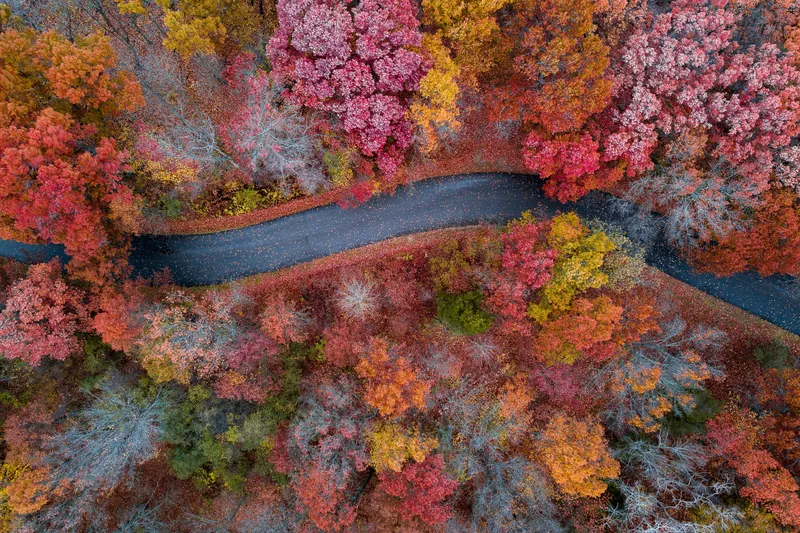 NEMT services in Delaware