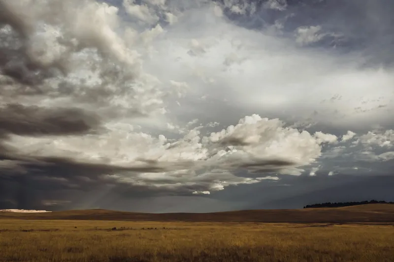 NEMT services in Nebraska