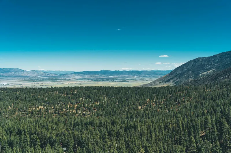 NEMT services in Nevada