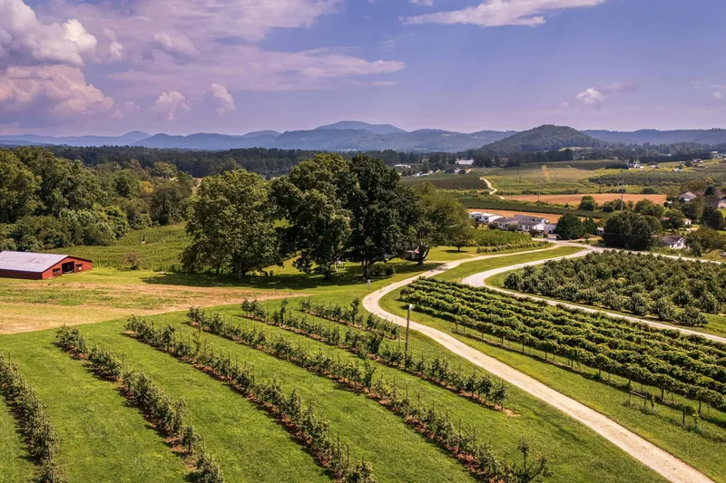 NEMT services in North Carolina