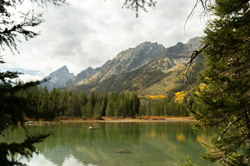 NEMT services in Wyoming