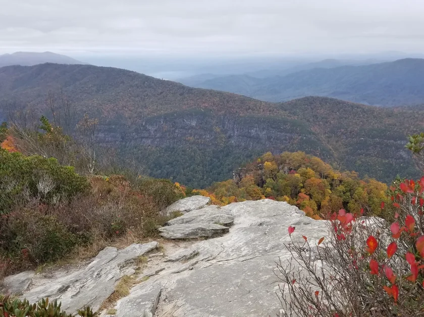 NEMT services in Burke County, North Carolina