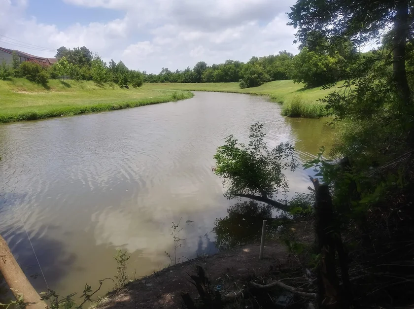 NEMT services in Clear Lake, Texas