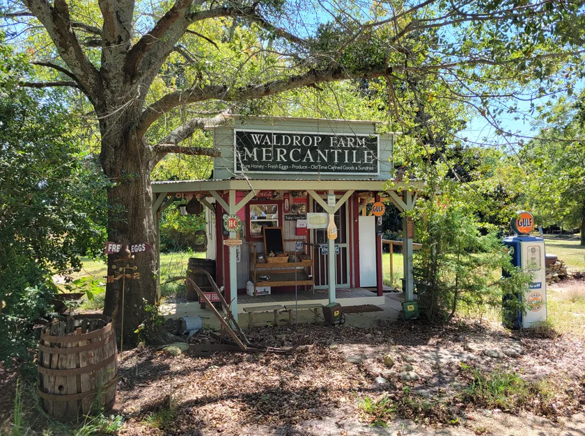 NEMT services in Winston, Georgia