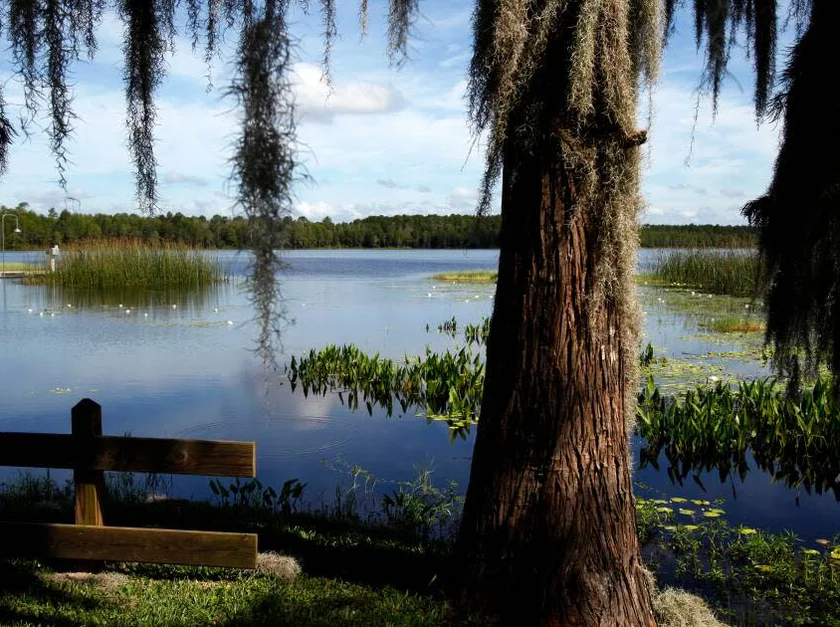 NEMT services in Lake Butler, Florida