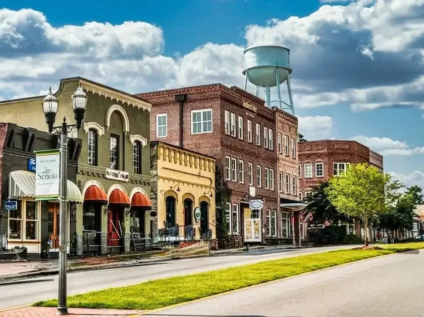 NEMT services in Senoia, Georgia