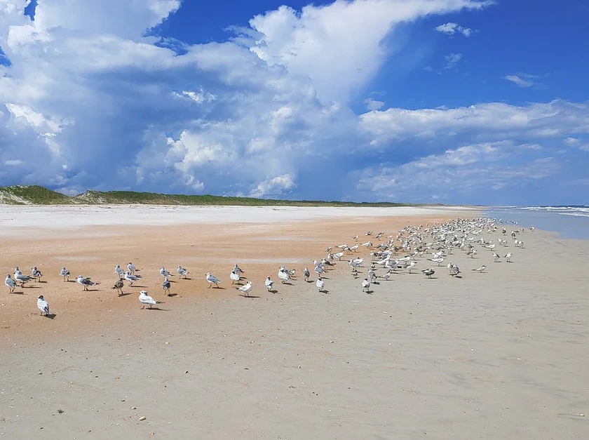 Anastasia Island, Florida neighborhoods serviced by our non-emergency medical transportation (NEMT) services