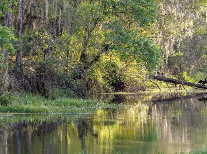 Holopaw, Florida neighborhoods serviced by our non-emergency medical transportation (NEMT) services