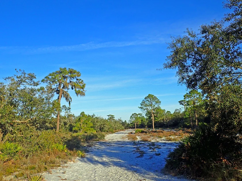 Lakeland Highlands, Florida neighborhoods serviced by our non-emergency medical transportation (NEMT) services