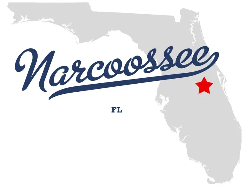 Narcoossee, Florida neighborhoods serviced by our non-emergency medical transportation (NEMT) services