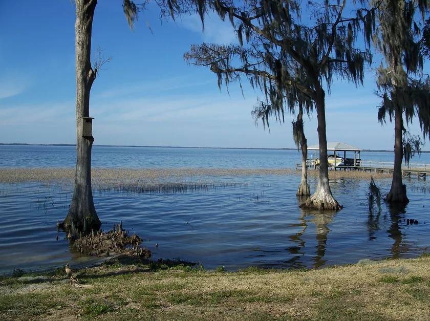 Yalaha, Florida neighborhoods serviced by our non-emergency medical transportation (NEMT) services