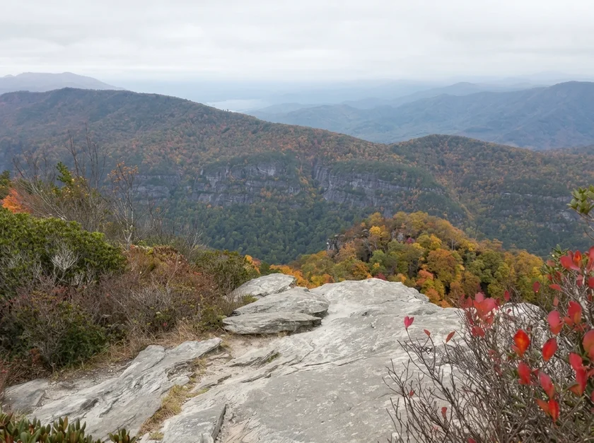 NEMT services in Burke County, North Carolina